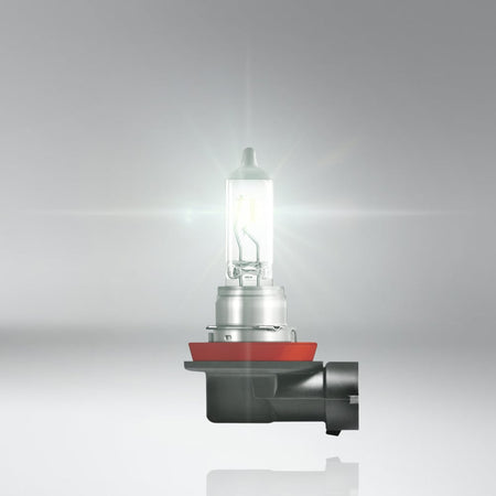 produktbillede fra forsiden viser 24V OSRAM Halogen Truckstar Pro – H11 – OSRAM