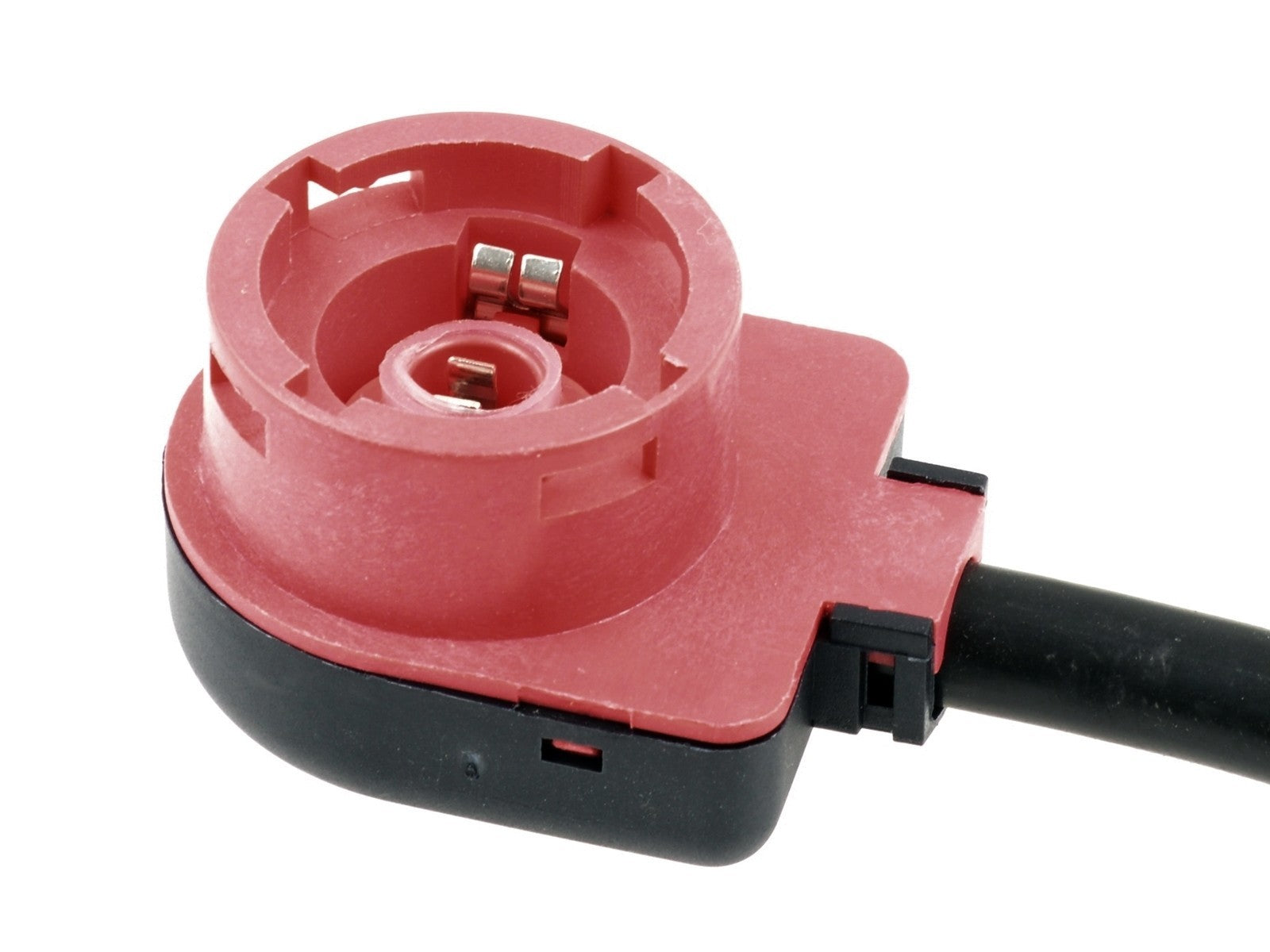 Xenonadapter BMW 5 E39/X5 E53