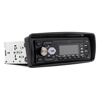 Radioram Peugeot 206