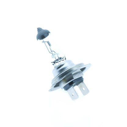 Halogenlampa – PHILIPS – 24V