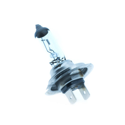Halogenlampa – PHILIPS – 12V