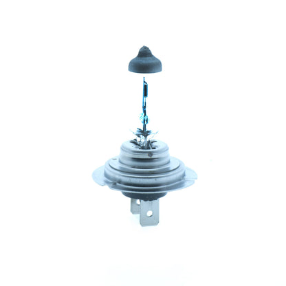 Halogenlampa – PHILIPS – 12V