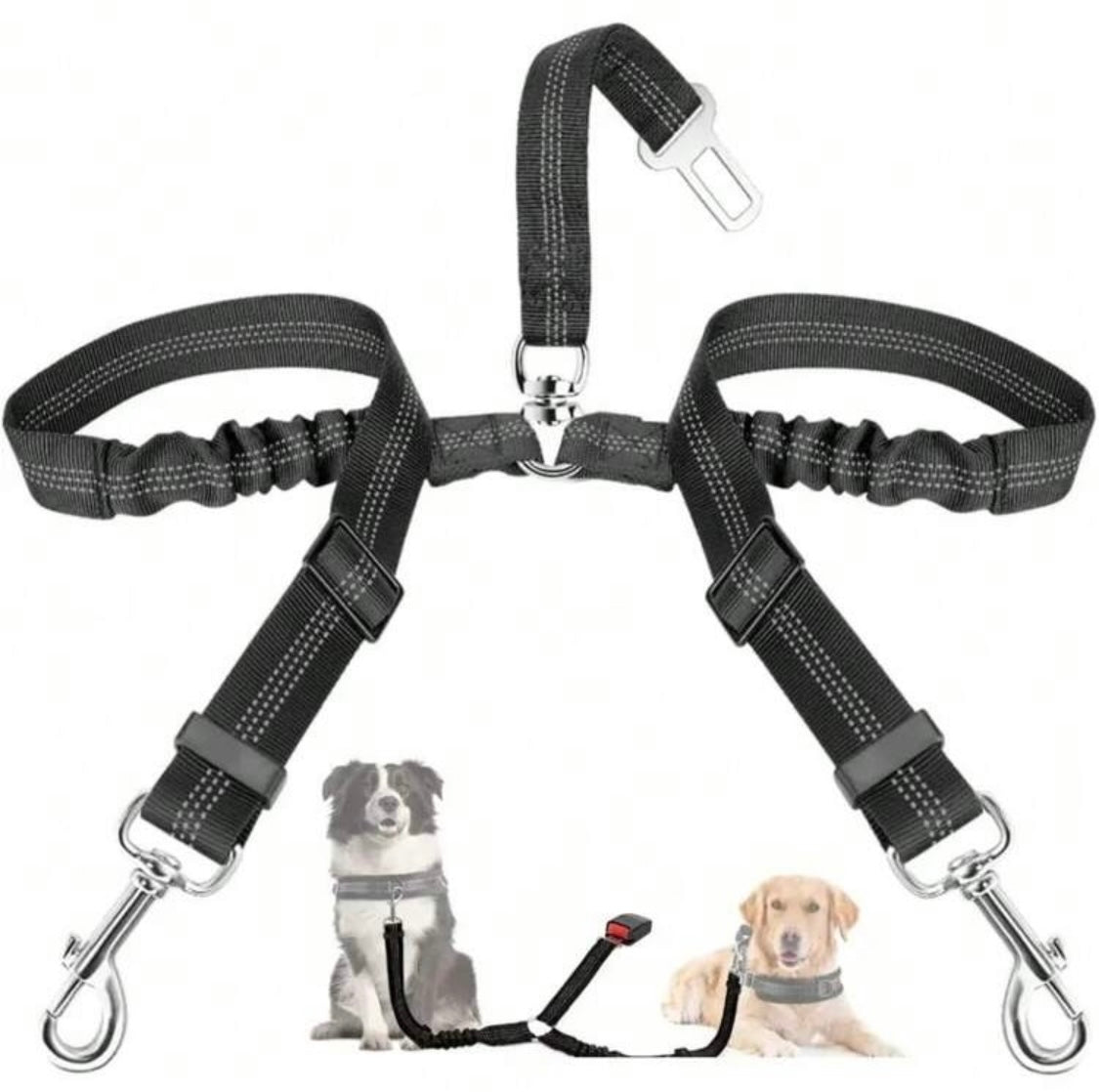 Dubbelt hundsäkerhetsbälte bil justerbart – För 2 hundar – närbild detaljer | Carlevel