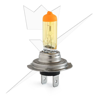 Offroad Halogen – H7 – nærbillede detaljer | ANDET